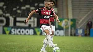 Alexandre Vidal/Flamengo