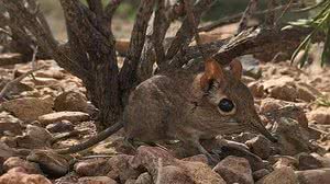 Reprodução / YouTube