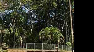 Mulher foi morta a tiros no parque Guilherme Lage, em Belo Horizonte (MG) | Prefeitura de BH