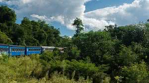Imagem de divulgação do passeio de trem Serra do Mar, feito pela Serra do Mar Express, entre Curitiba e Morretes - Zig Koch | Serra do Mar Express/Divulgação