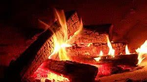 Foto: Reprodução/Pixabay