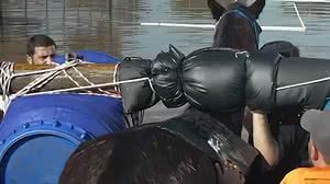 Reprodução / Instagram / Luisa Mell