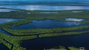 359 mil hectares de florestas foram perdidos em incêndios | Foto: Divulgação/Sitah