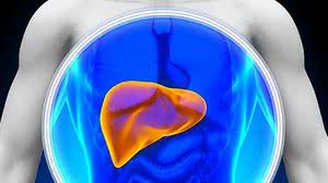 Reprodução / Vix / Shutterstock