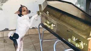 Reprodução/Facebook