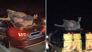 Foto: Reprodução/Redes Sociais