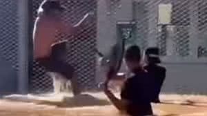 Reprodução/Redes Sociais