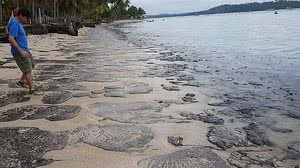 Praia de Carneiros foi uma das atingidas por óleo | REprodução / Instituto Bioma