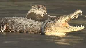 Reprodução/Youtube