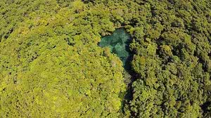 Escassez hídrica traz prejuízos econômicos a setores como indústria e agropecuária e ameaça a saúde da população, alerta relatório lançado pela Plataforma Brasileira de Biodiversidade e Serviços Ecossistêmicos (nascente de um rio no Cerrado) | José Sabino