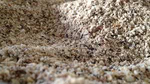 Receita pode ajudar no controle de taxas | Google