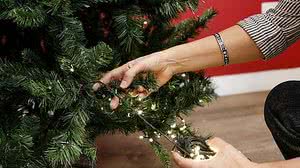 Divulgação/Equatorial Alagoas