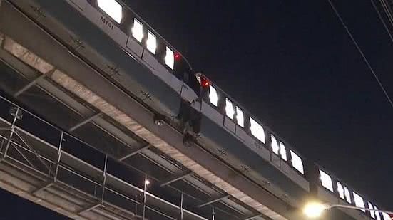 Reprodução/TV Globo