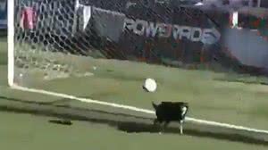 Reprodução / Youtube