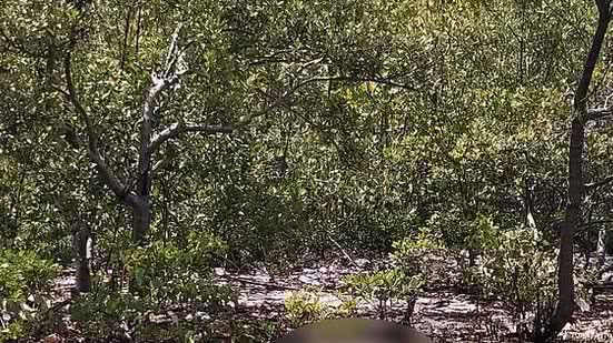 Divulgação / Corpo de Bombeiros