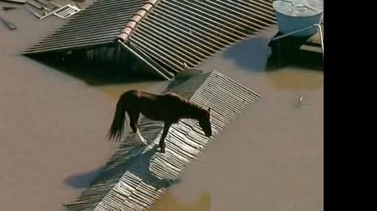 Reprodução/Globo News