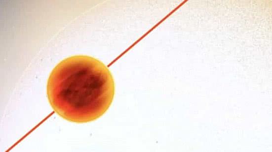 Foto: Reprodução / University Of South Queensland