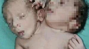 Nascimento foi registrado na última segunda-feira (28) na Índia | Foto: Reprodução /Free Press Journal India