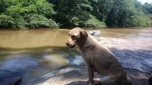 Reprodução/Folha de S. Paulo