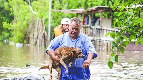 Giulian Serafim/PMPA