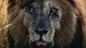 Reprodução / Facebook