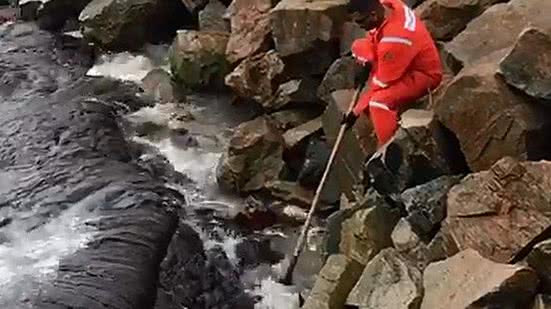 Reprodução/Redes Sociais