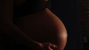 Foto: Reprodução/Pixabay