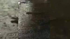 Foto: Reprodução/OGlobo