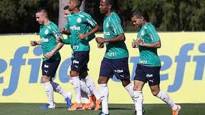 Reprodução/Twitter/Palmeiras