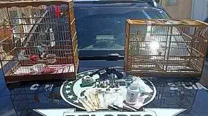 Divulgação / Polícia Militar