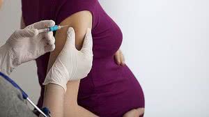 Foto: Reprodução/Pixabay