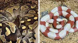 Reprodução / TV Tem