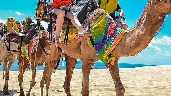 Reprodução / Instagram (Dromedunas)