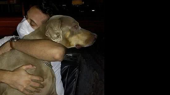 Imagem Polícia Civil vai investigar morte de cão submetido à eutanásia em Maceió