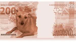 Montagem mostra vira-lata na nota de R$ 200: o animal não entrou na cédula, mas ganhou uma ponta em comercial | Reprodução / Internet