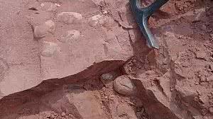 Cedida/Willian Roberto Nava