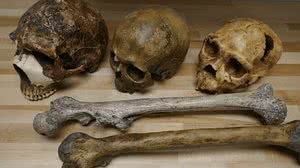 Divulgação/ Dr. Manuel Will