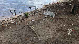 Corpo masculino foi achado boiando nesta quinta | Cortesia