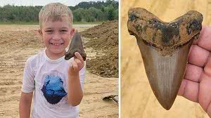 Foto: Palmetto Fossil Excursions and Team