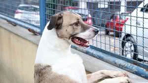 Subvisa / Nelson Duarte / Prefeitura do Rio