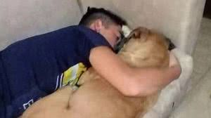 Imagem Abraçada ao dono, cadela morre após sofrer ataque cardíaco por causa de fogos de artifício