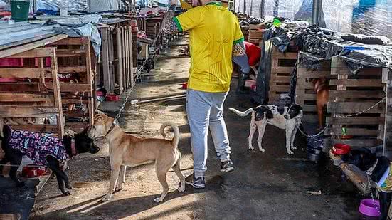 Rafa Neddermayer/Agência Brasil