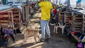 Rafa Neddermayer/Agência Brasil