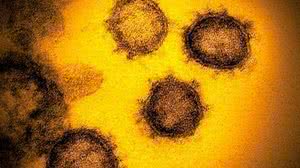 Science Photo Library