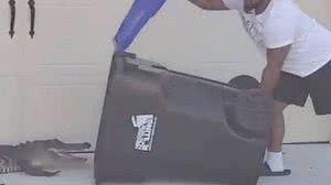 Reprodução / Instagram