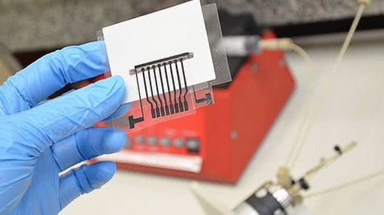 Produto retardou declínio cognitivo de pacientes | Foto: Divulgação / Ufiscar