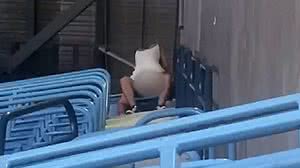 Reprodução / blog TO