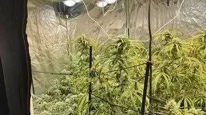 Divulgação / PM SP