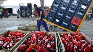 Rovena Rosa / Agência Brasil / Reprodução