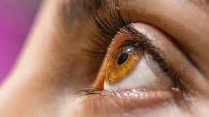 Aliza Delgun/Divulgação